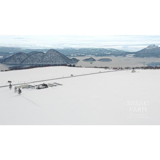 ふるさと納税 北海道 洞爺湖町 〈自然栽培〉佐々木ファーム　旬の野菜詰め合わせ　〜ありがとうBOX 2023・大〜　やさい　直送　北海道　洞爺湖町