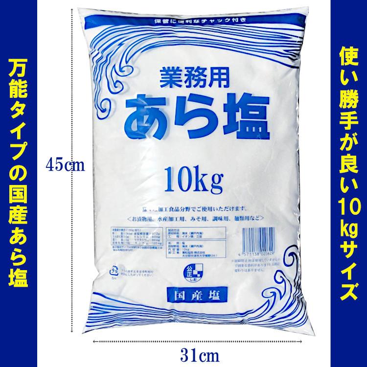 業務用 あら塩 10kg×10袋 計100kg