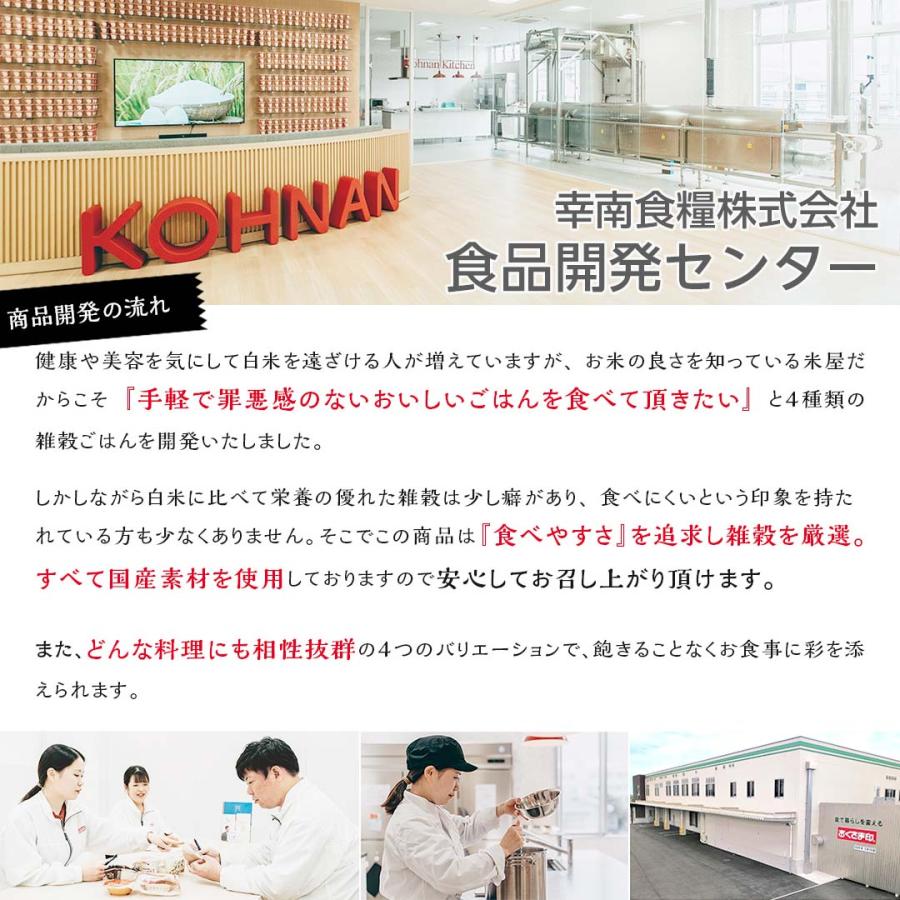 ご飯パック 金のいぶき玄米宮城県産 48個セット 160g おくさま印 お米 レトルト 無添加 国産 栄養 健康 レンジで簡単 温めるだけ 還暦 お年賀 送料無料