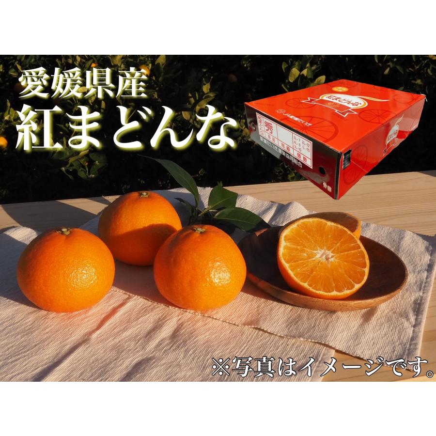 赤秀　「紅まどんな」　愛媛県産(JA愛媛たいき)　化粧箱　2Lサイズ　12個入り