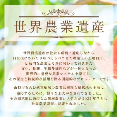 ふるさと納税 山梨市 採れたて新鮮!!完熟桃白鳳系1kg以上(3〜5玉) ふるさと納税