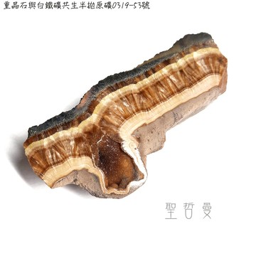 波蘭特產：重晶石與白鐵礦共生半拋原礦0319-53號 Barite/Baryte Marcasite