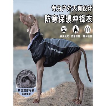 金毛拉布拉多寵物棉衣服秋冬保暖絨貓咪大型犬沖鋒衣防水加棉加絨