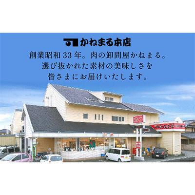 ふるさと納税 吉田町 金豚王ロースブロックパック約700g