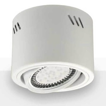 LED 10W，AR111吸頂筒燈 F28-LG-3552