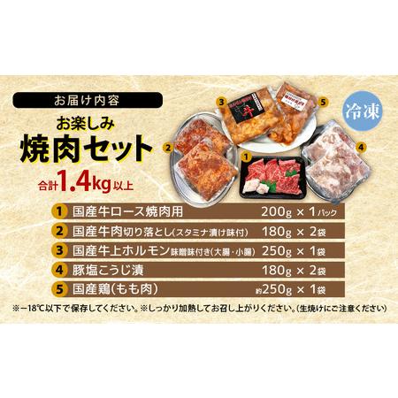 ふるさと納税 国産 お楽しみ 焼肉セット 合計1.4kg以上 [e03-b004] 福井県越前町