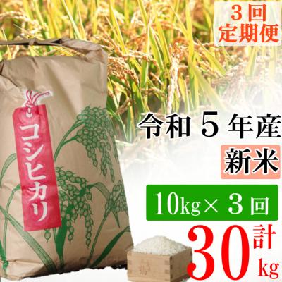 ふるさと納税 室戸市 室戸産新米コシヒカリ　10kg　米定期便　定期便3回