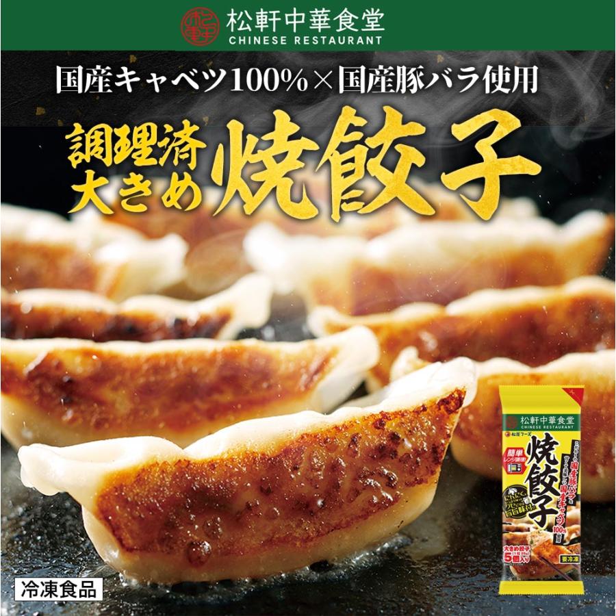 (メーカー希望小売価格2500円→2190円) 松軒中華食堂「餃子」5個×5パック 送料無料 レンジで完成 餃子 ぎょうざ ギョウザ 調理済 時短 保存食 お取り寄せ