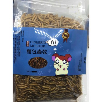FJiueseAqua快樂鼠新鮮麵包蟲乾 刺蝟 蜜袋鼯 倉鼠 營養蛋白質補充 罐裝麵包蟲 600ml