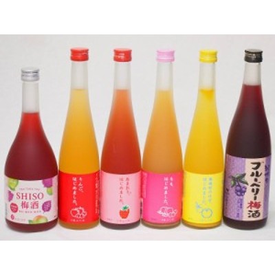 果実リキュール6本セット 紀州産 南高梅使用ブルーベリー梅酒 500ml