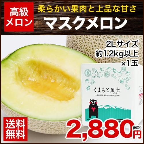 お歳暮 ギフト 九州産 マスクメロン 秀品 1玉 2Lサイズ 1.2kg以上 送料無料 メロン 高級メロン 果物 フルーツ 7-14営業日以内に出荷