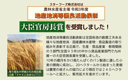 B-721 南の大地ピザ 5枚 Cセット マルゲリータ ×5枚 ピザ パーティー お祝い