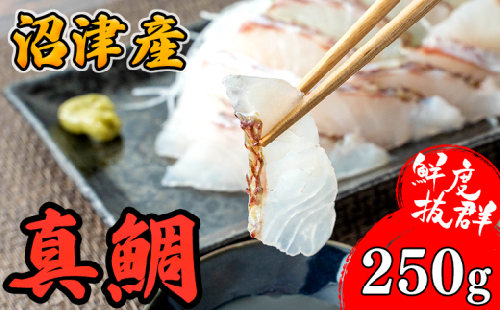 鯛 刺身 250g 鯛めし 真鯛 しゃぶしゃぶ カルパッチョ アレンジ自在 沼津港 駿河湾 スルガ