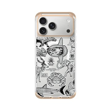 iPhone 17 Pro Max ClearX (MagSafe 兼容) 暖透橘 - KID - 海洋總匯