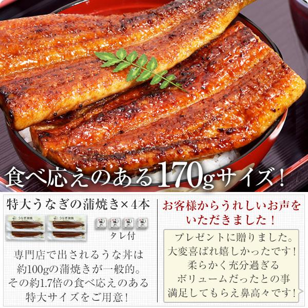 お歳暮 御歳暮 ギフト うなぎ 蒲焼き 国産 特大うなぎ4尾 ウナギ 鰻 蒲焼 送料無料