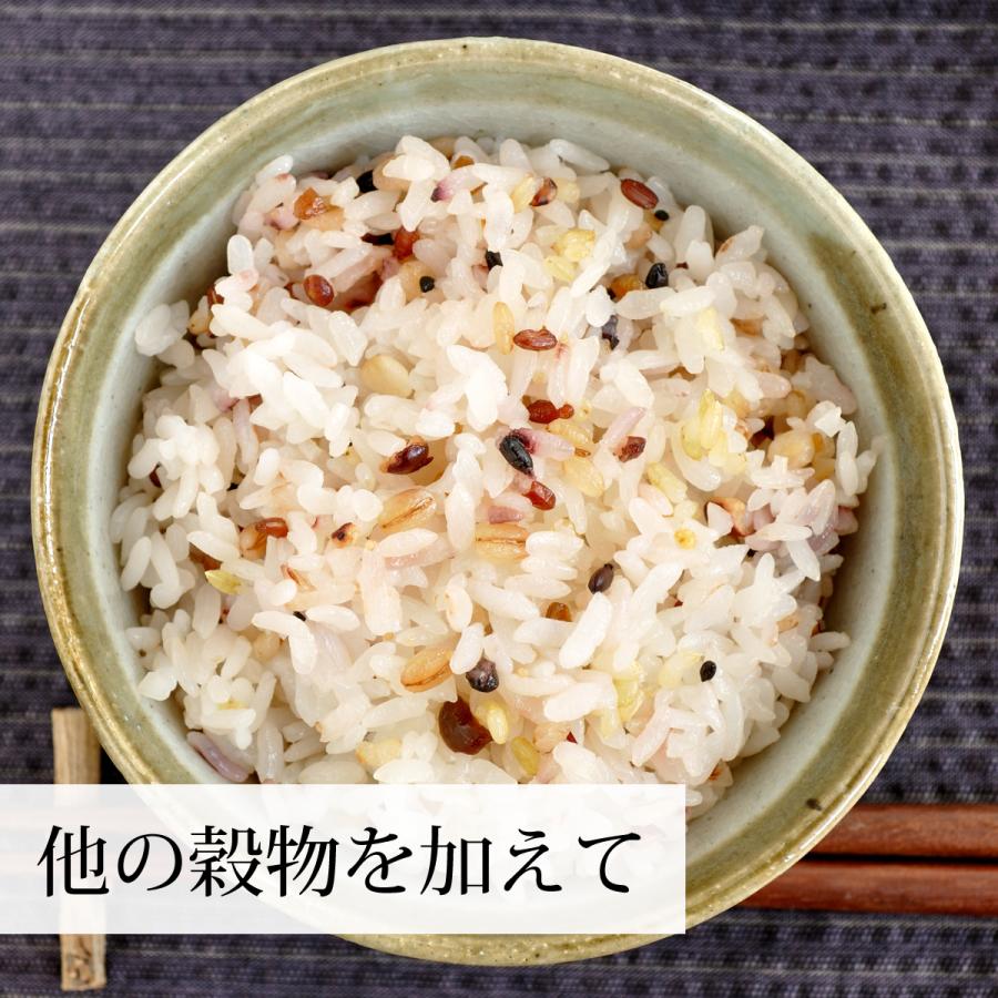 発芽玄米 1kg×2個 発芽米 玄米 無洗米 国産 ギャバ GABA 送料無料