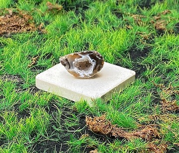 能量擺飾-瑪瑙可愛小晶洞聚寶盆 招財 療癒 開運 原礦 快速出貨