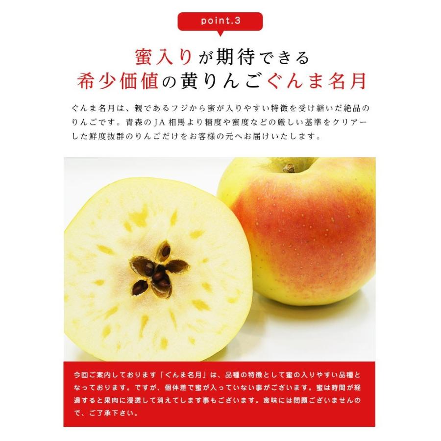 送料無料 青森県産 りんご ぐんま名月 9-11玉 約3kg りんご ぐんま名月 3kg りんご 青森 りんご 3kg 送料無料 群馬名月 ギフト 贈答 フルーツギフト