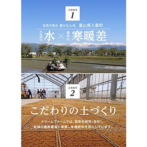 令和4年産 富山県産 コシヒカリ 黒部川扇状地で育ったドリームファームのこだわり米 (3kg) 一等米