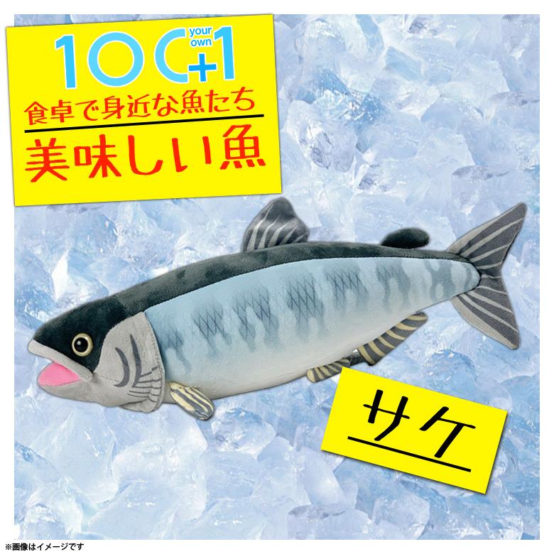 Amazon.co.jp: ZHONGXIN MADE かわいいレインボー熱帯魚