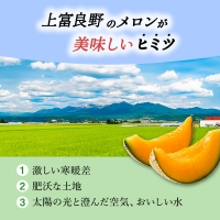 赤肉メロン JAふらの厳選！ 約1.6kg 2玉 メロン めろん 富良野メロン 果物 くだもの フルーツ 富良野 デザート 北海道