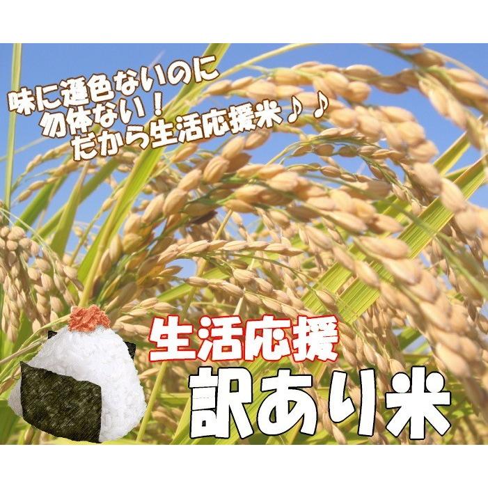 訳あり 新潟県産 中米 コシヒカリ 10kg 従来コシヒカリ 令和5年産