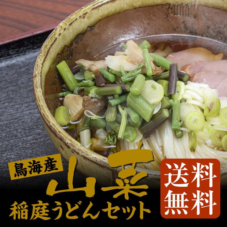 御歳暮限定商品 送料無料 鳥海産山菜と稲庭うどん6人前／贈答用／紙箱入り