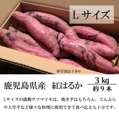 ふるさと納税 南大隅町 熟成紅はるか『感動さつまいも』Lサイズ3キロ　鹿児島県産