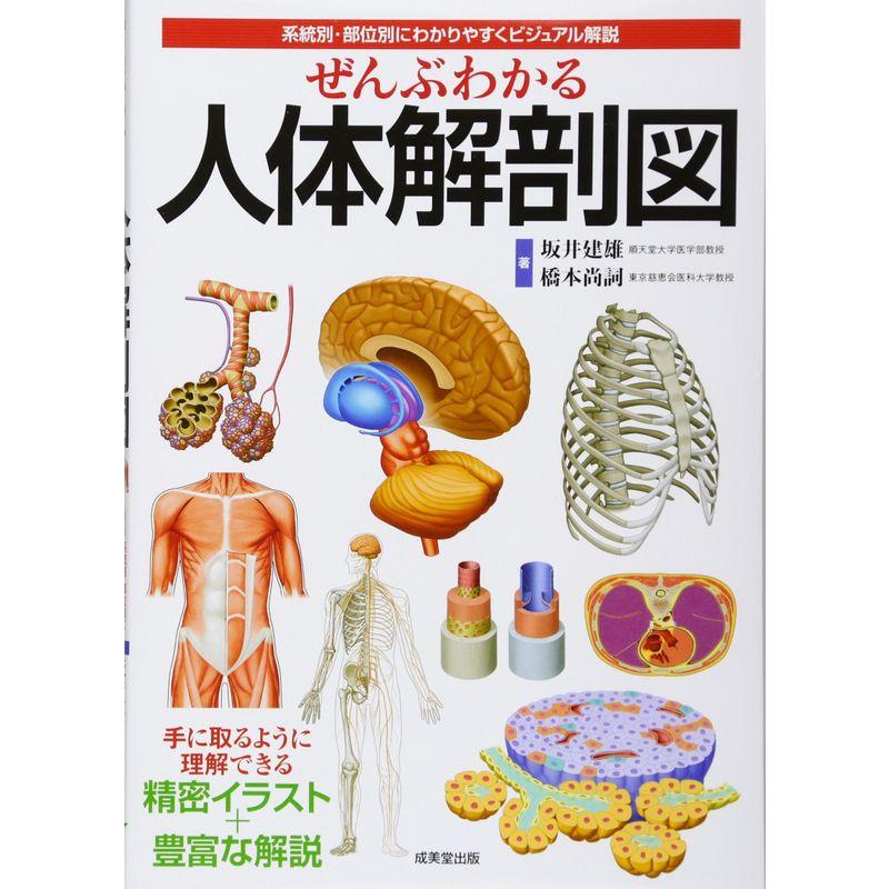 ぜんぶわかる人体解剖図 系統別・部位別にわかりやすくビジュアル解説