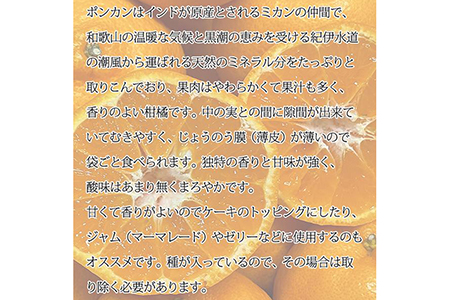 紀州和歌山有田産ポンカン 5kg ※2024年2月上旬頃～2月中旬頃に順次発送予定