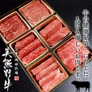 ふるさと納税 6種の部位が楽しめる食べ比べ焼肉セット 三重県熊野市