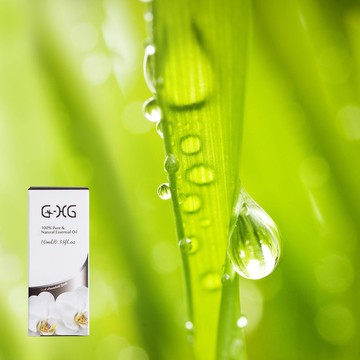 草本.種子類 - 100% 天然純精油 -10ml