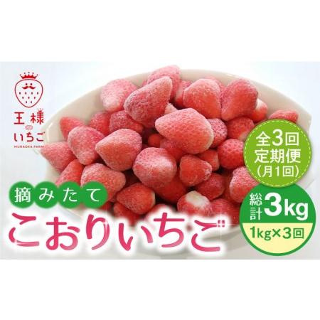 ふるさと納税 王様のいちご 摘みたてこおりいちご 1kg（冷凍いちご）いちごさん さがほのかフルーツ 果物 イチ.. 佐賀県江北町