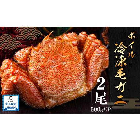 ふるさと納税 北海道 苫小牧産 ボイル 冷凍毛ガニ (600g UP×2尾セット） 北海道苫小牧市