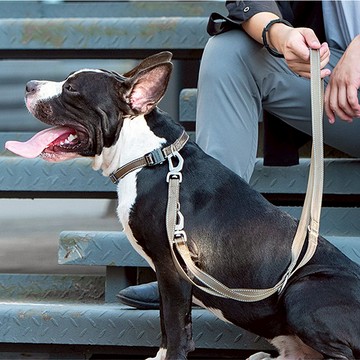 【DOGNESS多尼斯】挑戰者系列寵物牽引繩(4色) 外出用品