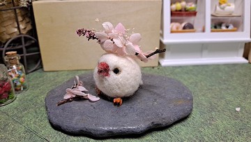 文鳥羊毛氈球*我的庭園設計*