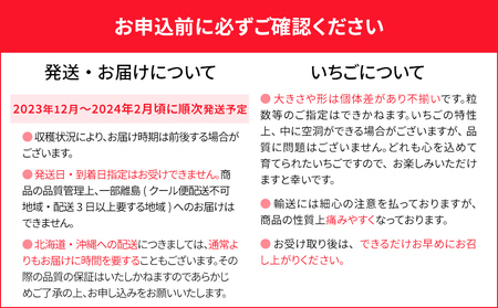 福岡県田川市産 あまおう 8or9入り×4パックイチゴ いちご 苺 贈答にも