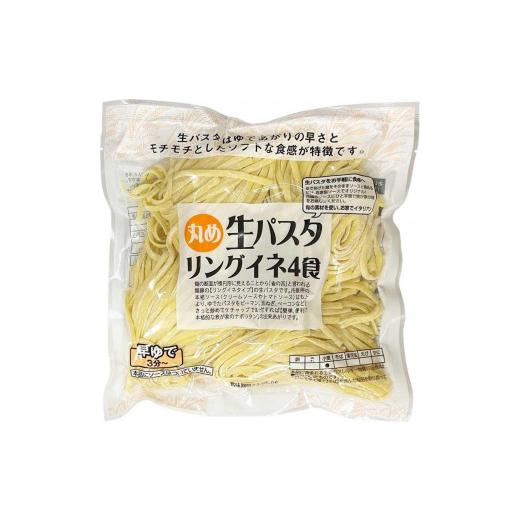 ふるさと納税 香川県 坂出市 生パスタ  リングイネ 4.8kg  48食分( 麺 400g：4食 × 12袋 )｜生麺