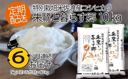 佐渡産コシヒカリ・朱鷺と暮らす郷10kg（5kg×2）