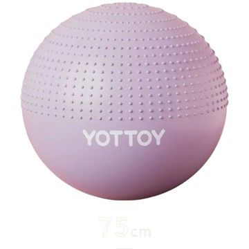 瑜珈用品 【一蒔】瑜伽球 家用瑜珈球 加厚瑜伽球 顆粒瑜珈球  感統訓練器 多功能健身球 核心訓練球 65cm