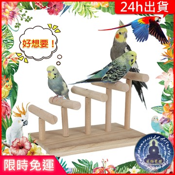 【寵物覺醒24h出貨】超多鸚鵡玩具桌上遊樂場站台站架站棍站架站杆站立文鳥磨爪鸚鵡用品