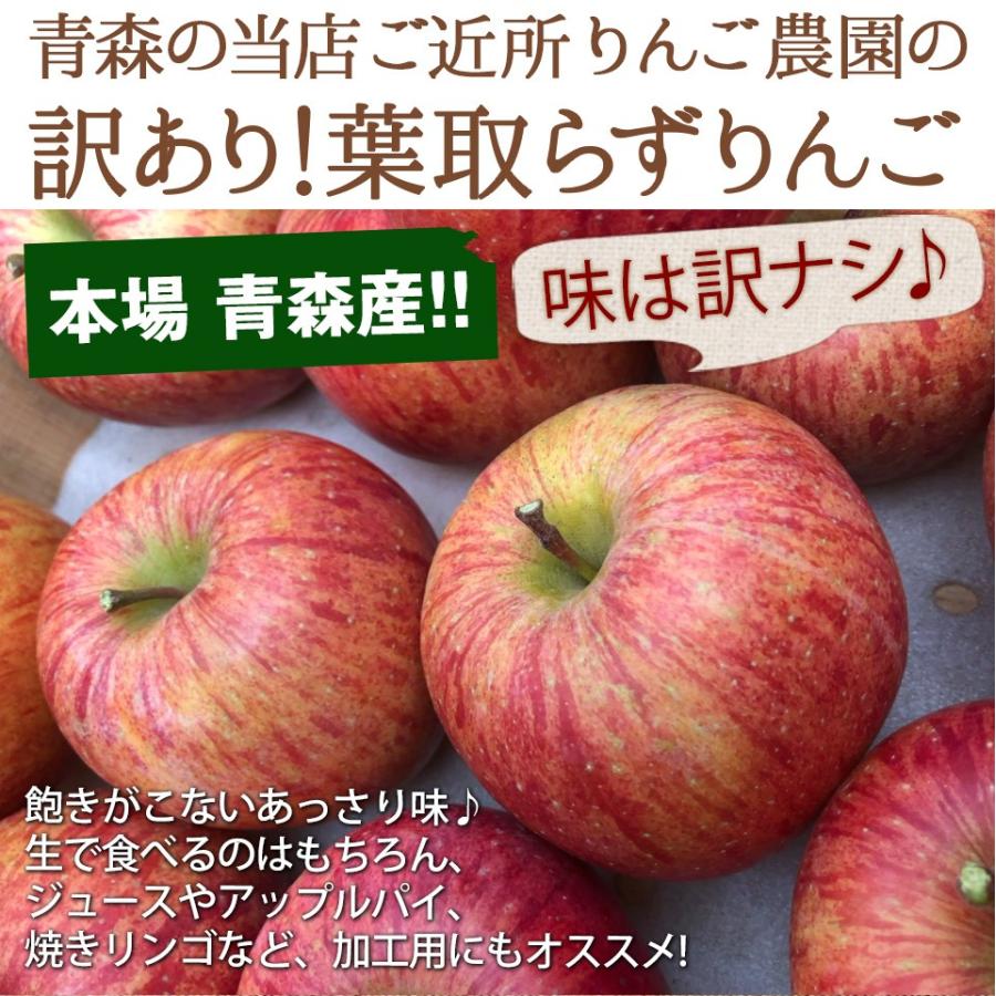 同梱専用 訳あり 葉取らずりんご 青森産 色むら有り サンふじ約2kg(5から8玉前後) 卵と同梱で送料無料