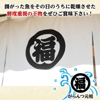 akune-2-209 鹿児島県阿久根市産生干し「花いか」(計25尾・5尾×5袋)国産 魚介 干物 ひもの イカ 烏賊 がらんつ干物 2-209