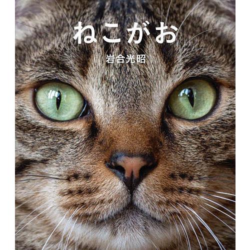 ねこがお 岩合光昭