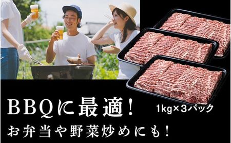 牛カルビ 3kg 焼肉用 ギフト ジューシー やわらか 人気 冷凍 バーベキュー BBQ キャンプ アウトドア （インジェクション）