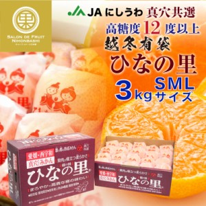 [予約 2023年 11月15日-12月15日の納品] 真穴みかん ひなの里 超冬有袋みかん 約 3kg 愛媛県西宇和産 袋がけみかん 冬ギフト お歳暮 御