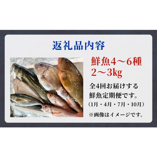 ふるさと納税 富山県 氷見市 氷見港朝獲れ高級魚！丸っと贅沢直送便！　船上氷上締め　神経〆処理 富山 氷見 直送 詰め合わせ 定期便 鮮魚ボック…