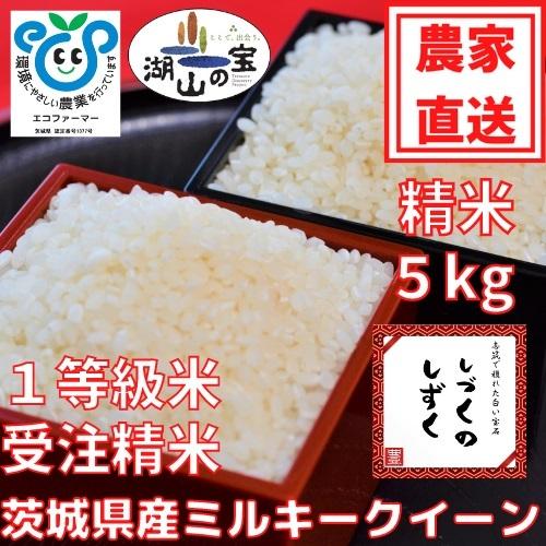 令和5年産　お米　ミルキークイーン　白米　5kg　しづくのしずく