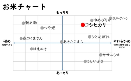 コシヒカリ・新之助 白米 各5kg ×6回（合計 60kg） [M018]