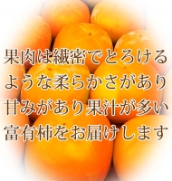 和歌山秋の味覚　富有柿　約7.5kg　※2024年11月上旬～11月下旬頃に順次発送予定